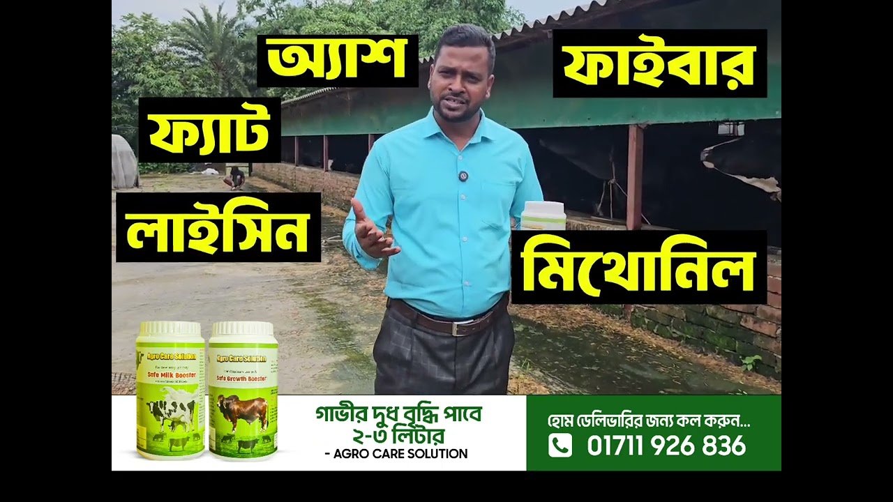 ডেইরি ফার্ম যারা করেন তাদের জন্যে গরুর মিল্ক বুস্টার