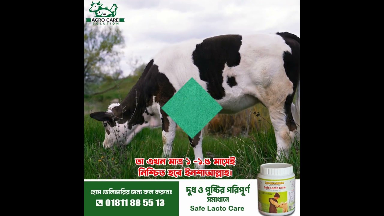 বাছুরের স্বাস্থ্য নিয়ে চিন্তিত?